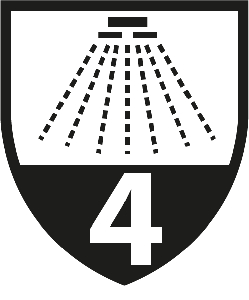 Type 4